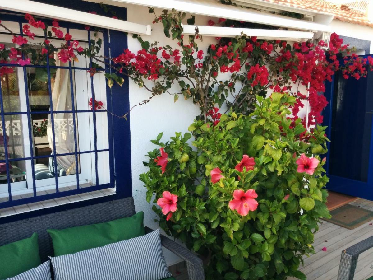 El Vivero Del Mar Menor لا مانغا ذيل مار مينور المظهر الخارجي الصورة