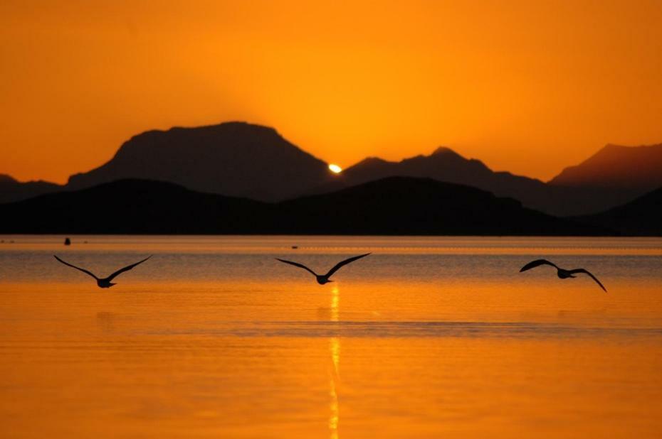 El Vivero Del Mar Menor لا مانغا ذيل مار مينور المظهر الخارجي الصورة