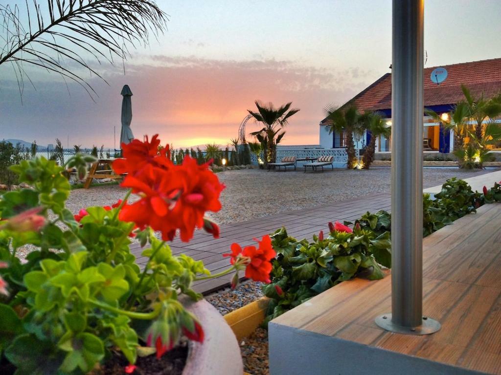 El Vivero Del Mar Menor لا مانغا ذيل مار مينور المظهر الخارجي الصورة